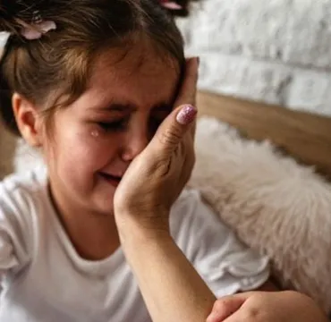 معرض الصور 5